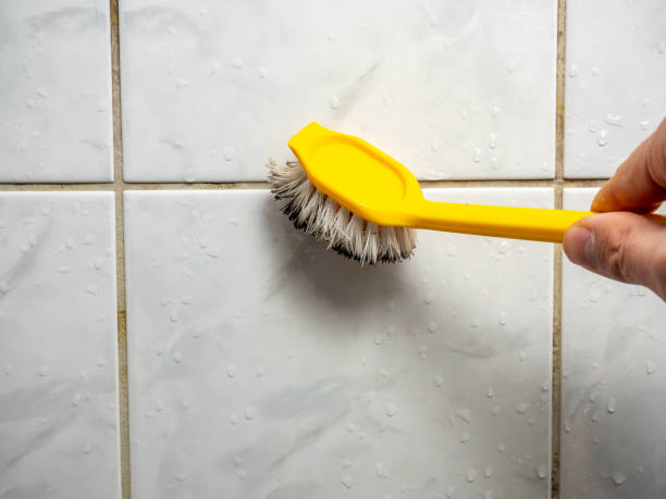Best Black Mold Removal  in Grandy, NC