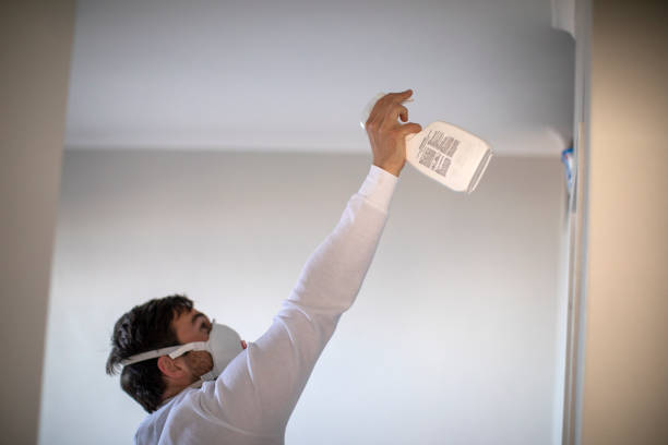 Best Certified Mold Removal  in Grandy, NC