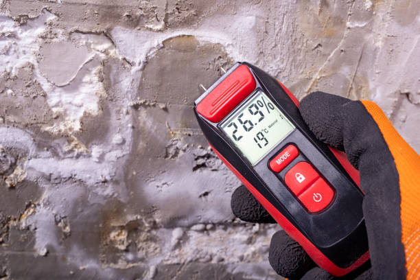 Best Mold Damage Repair  in Grandy, NC