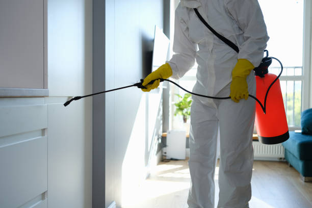 Best Mold Removal Process  in Grandy, NC