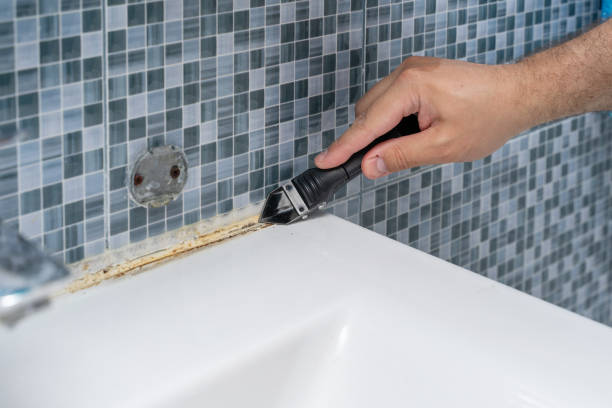 Best Black Mold Removal  in Grandy, NC