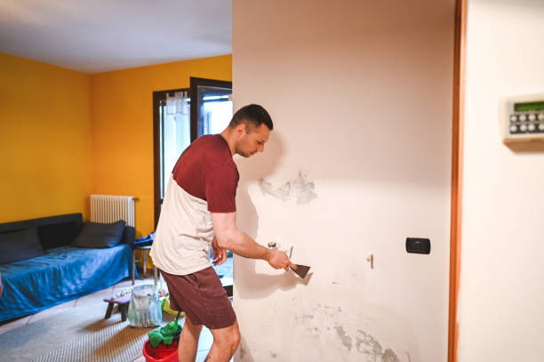 Mold Testing and Removal in Grandy, NC