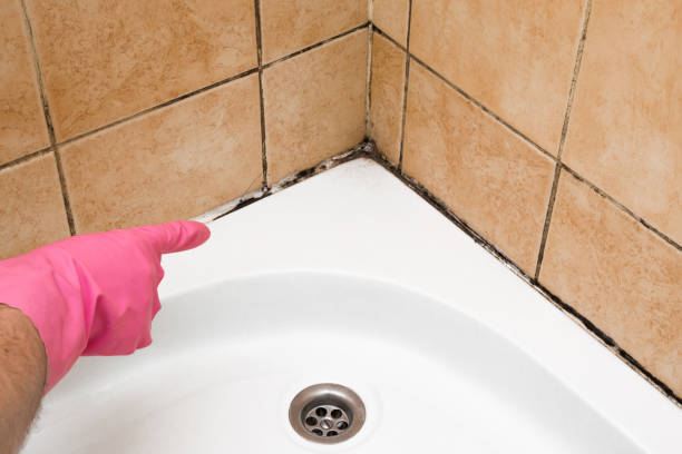 Best Water Damage Restoration  in Grandy, NC